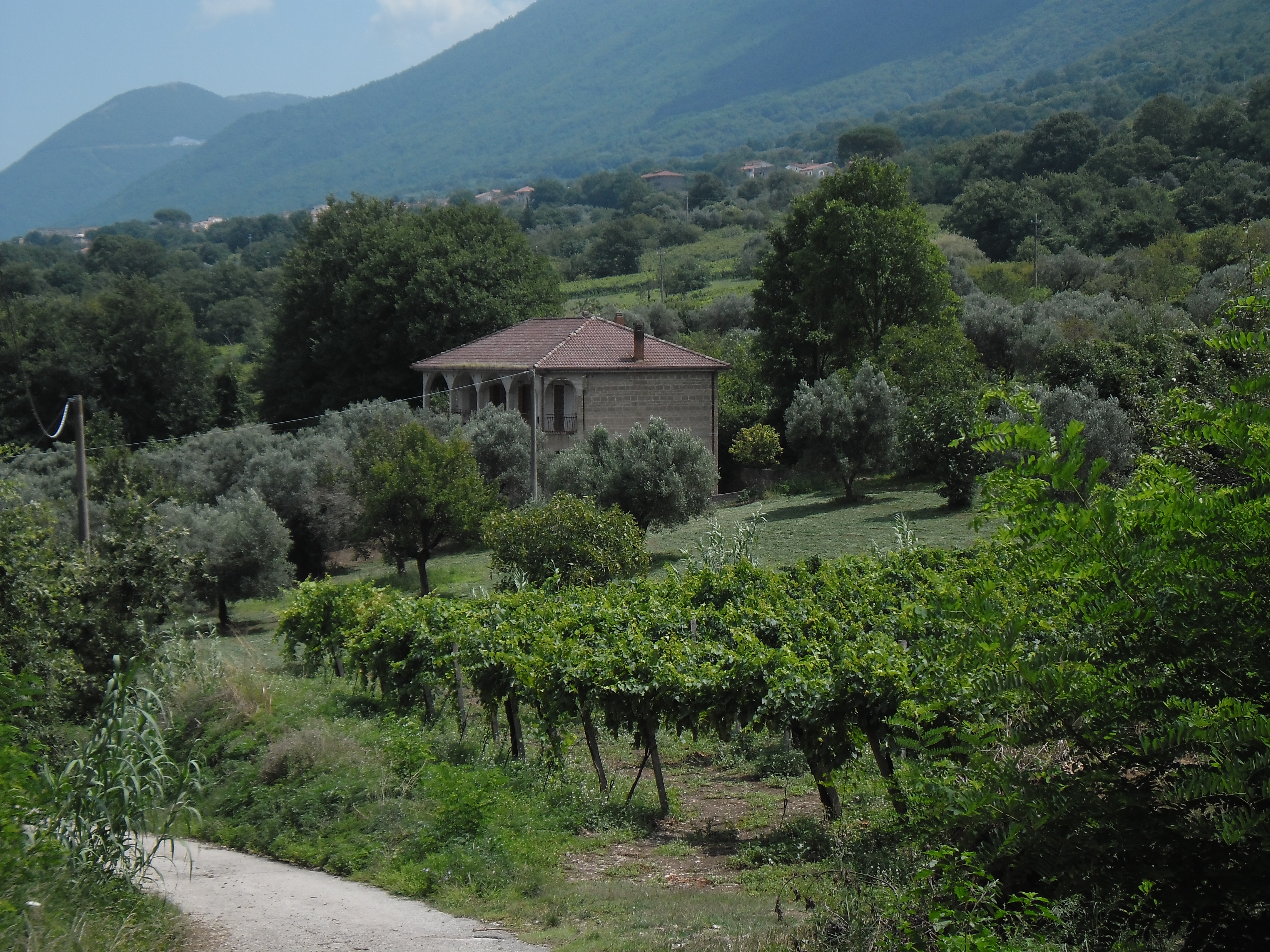 Casale di campagna