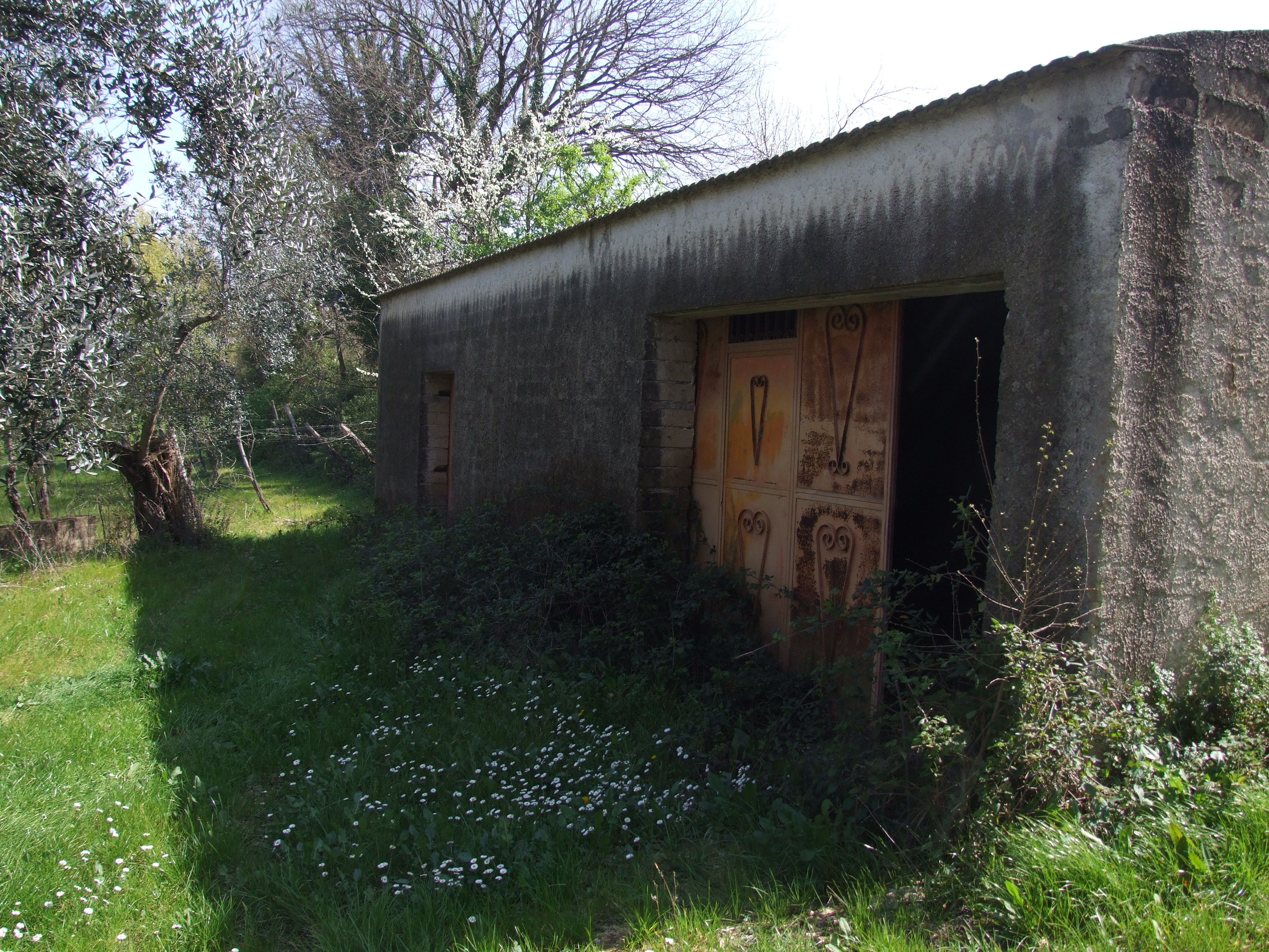 Casale di campagna